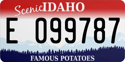 ID license plate E099787