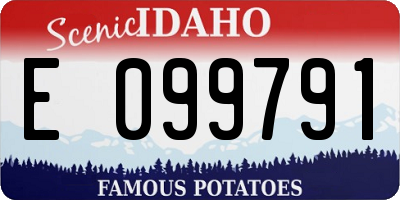 ID license plate E099791