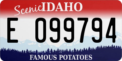 ID license plate E099794