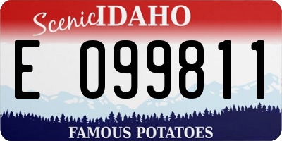 ID license plate E099811