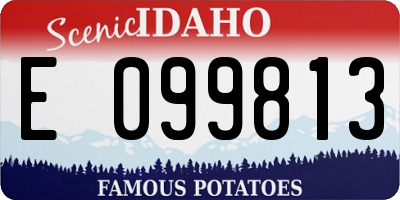 ID license plate E099813