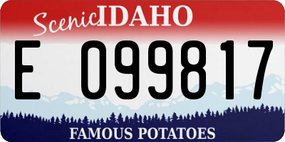 ID license plate E099817