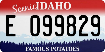 ID license plate E099829