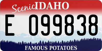 ID license plate E099838