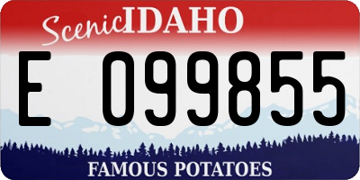 ID license plate E099855