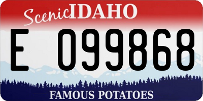 ID license plate E099868
