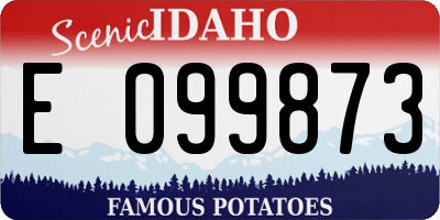 ID license plate E099873