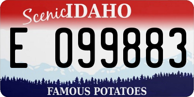 ID license plate E099883