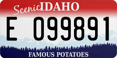 ID license plate E099891