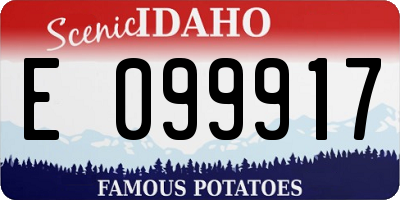 ID license plate E099917