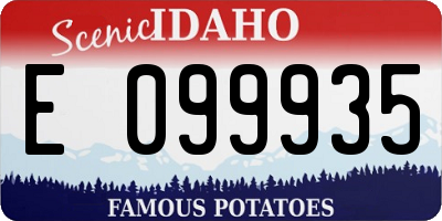 ID license plate E099935