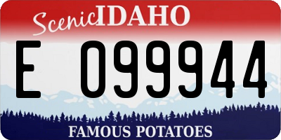 ID license plate E099944