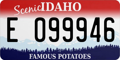 ID license plate E099946