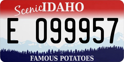 ID license plate E099957