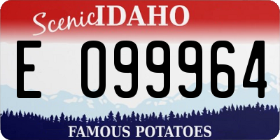 ID license plate E099964