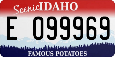 ID license plate E099969