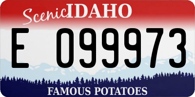 ID license plate E099973