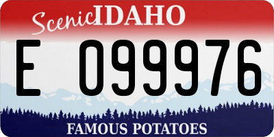 ID license plate E099976