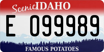ID license plate E099989