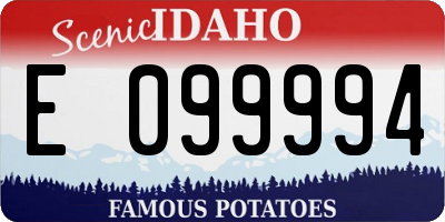 ID license plate E099994