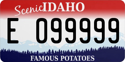 ID license plate E099999