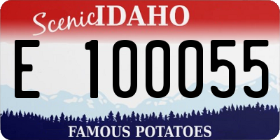 ID license plate E100055