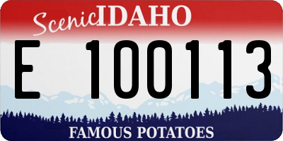 ID license plate E100113