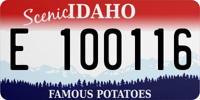 ID license plate E100116