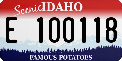 ID license plate E100118