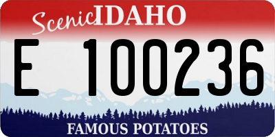 ID license plate E100236