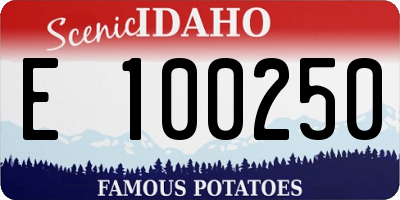 ID license plate E100250