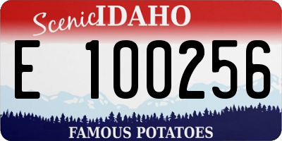 ID license plate E100256