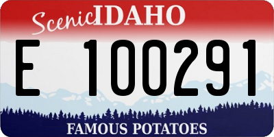 ID license plate E100291