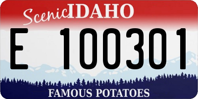 ID license plate E100301