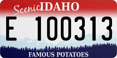 ID license plate E100313