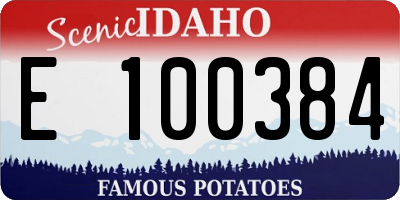 ID license plate E100384