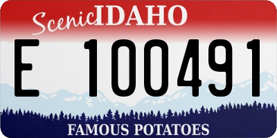 ID license plate E100491