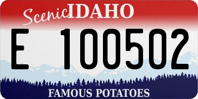 ID license plate E100502