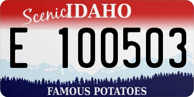 ID license plate E100503