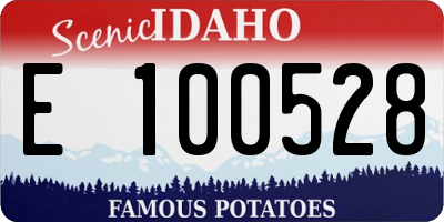 ID license plate E100528