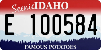 ID license plate E100584