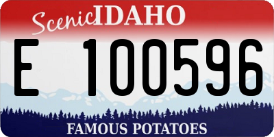 ID license plate E100596