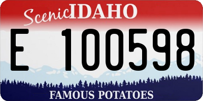 ID license plate E100598