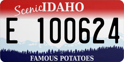 ID license plate E100624