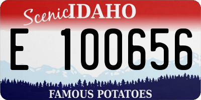ID license plate E100656