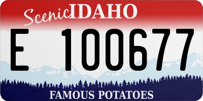 ID license plate E100677
