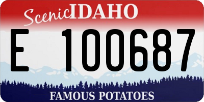 ID license plate E100687
