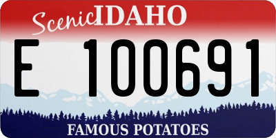 ID license plate E100691
