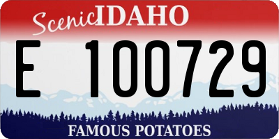 ID license plate E100729