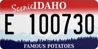 ID license plate E100730